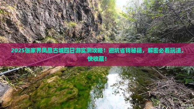 阿里去张家界凤凰古城四日游