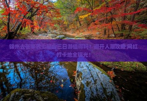 锦州去张家界七星山三日游