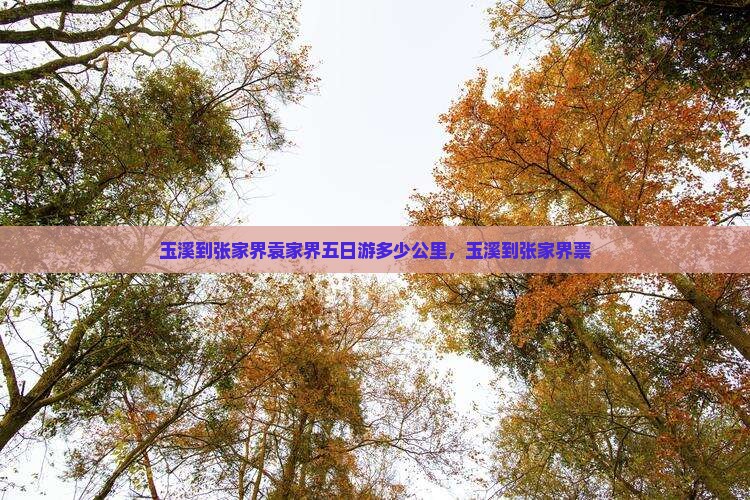 玉溪到张家界袁家界五日游