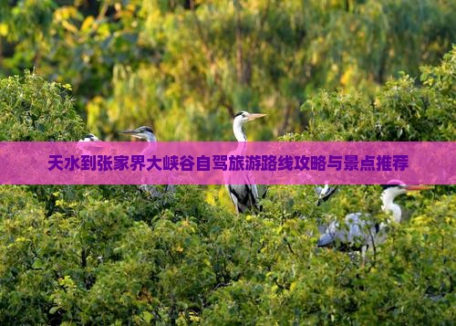 天水到张家界大峡谷个人游