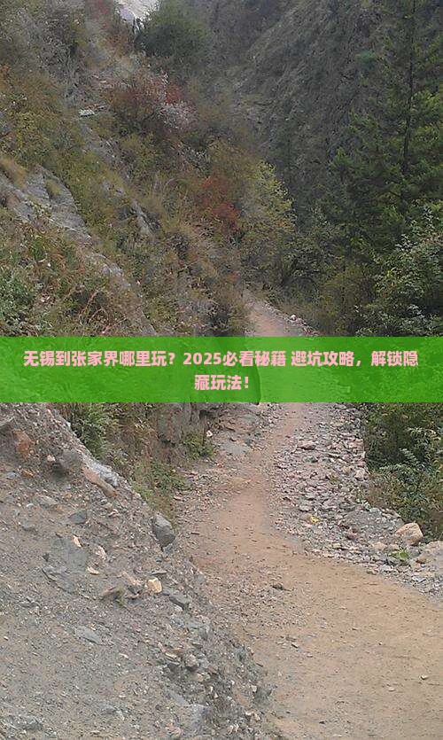无锡到张家界哪里玩