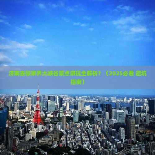 济南去张家界大峡谷景点