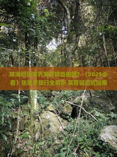 珠海到张家界芙蓉镇自由团