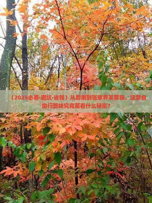 黔南去张家界芙蓉镇自由团