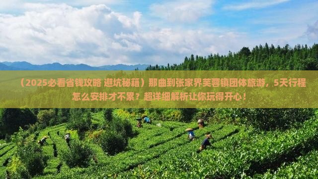 那曲到张家界芙蓉镇团体旅游