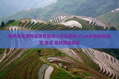 梧州去张家界袁家界旅游小吃