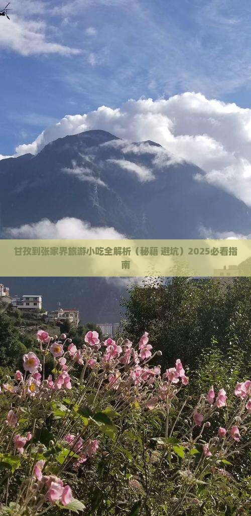 甘孜到张家界旅游小吃