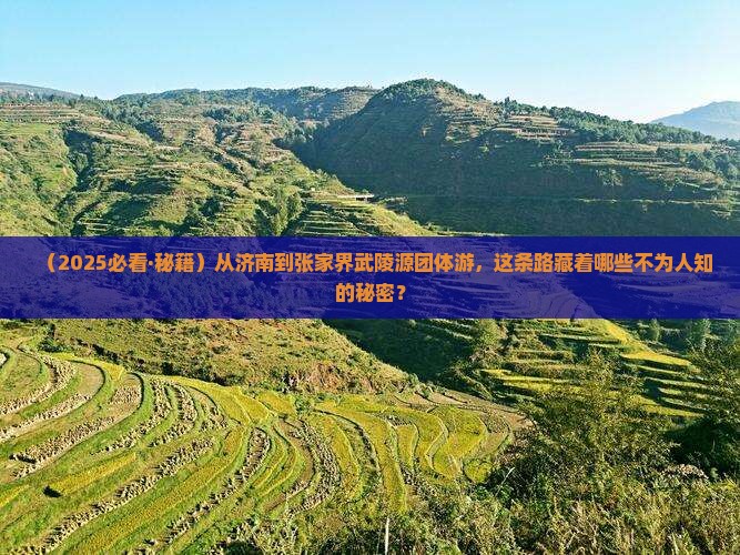 济南去张家界武陵源团体旅游
