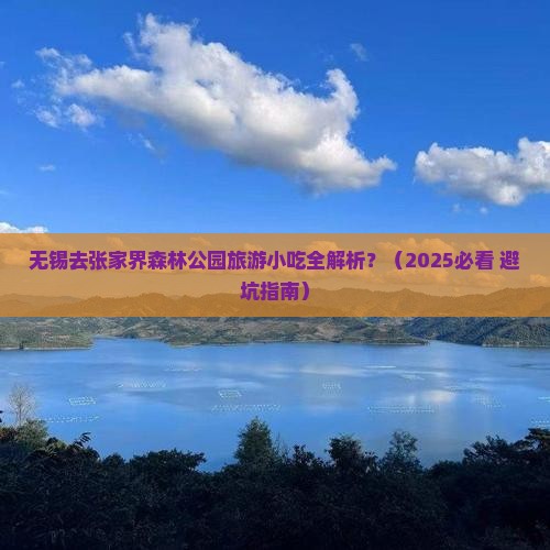 无锡去张家界森林公园旅游小吃