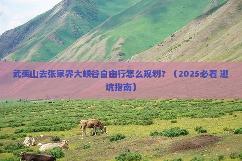 武夷山去张家界大峡谷自由行