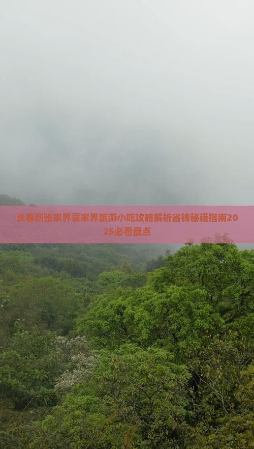 长春到张家界袁家界旅游小吃