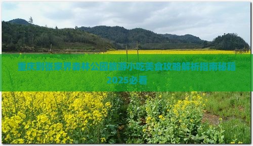 重庆到张家界森林公园旅游小吃