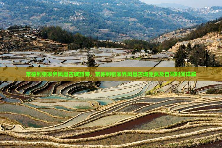 常德到张家界凤凰古城旅游