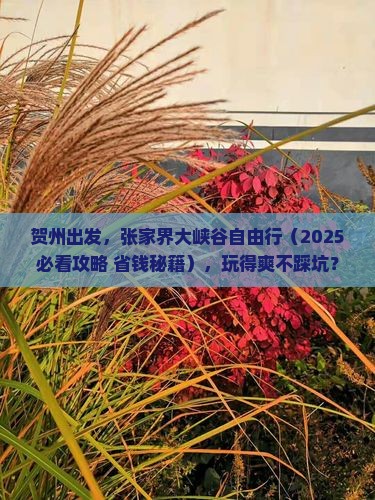 贺州去张家界大峡谷自由团