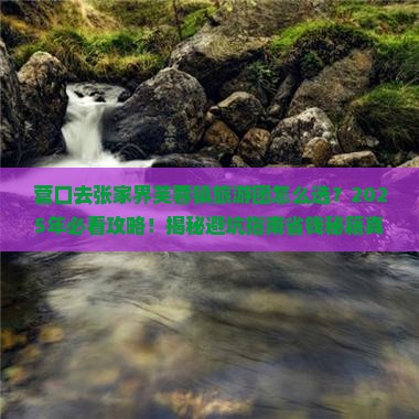营口去张家界芙蓉镇大型旅游团