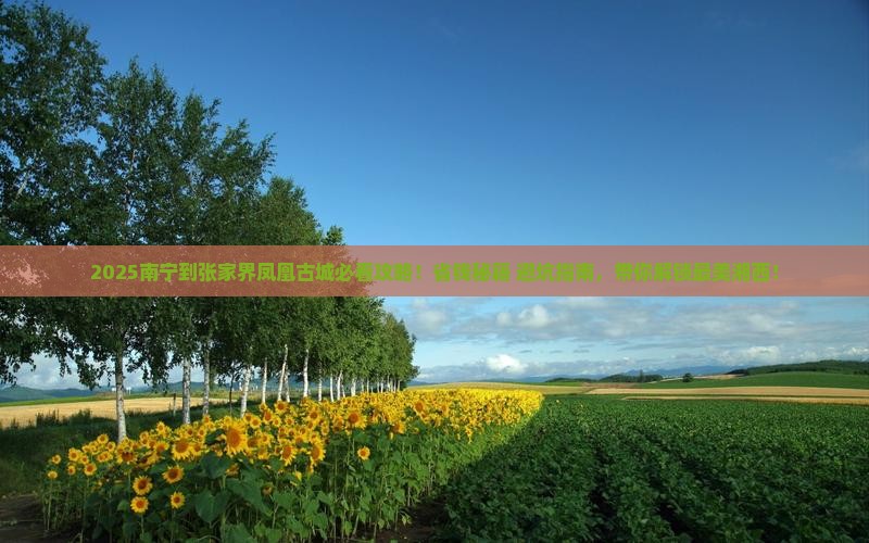 南宁到张家界凤凰古城大型旅游团