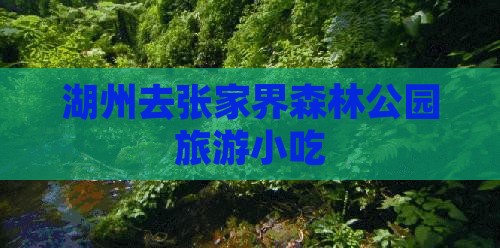 湖州去张家界森林公园旅游小吃