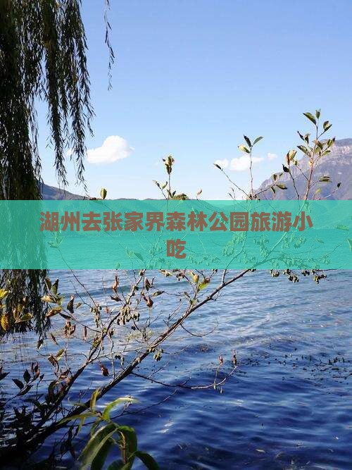 湖州去张家界森林公园旅游小吃