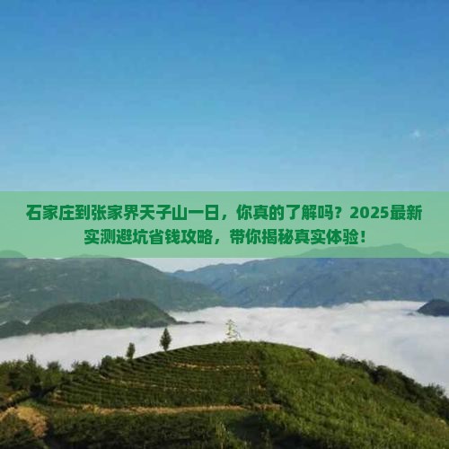 石家庄到张家界天子山一日