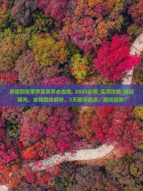 常德到张家界袁家界必去地