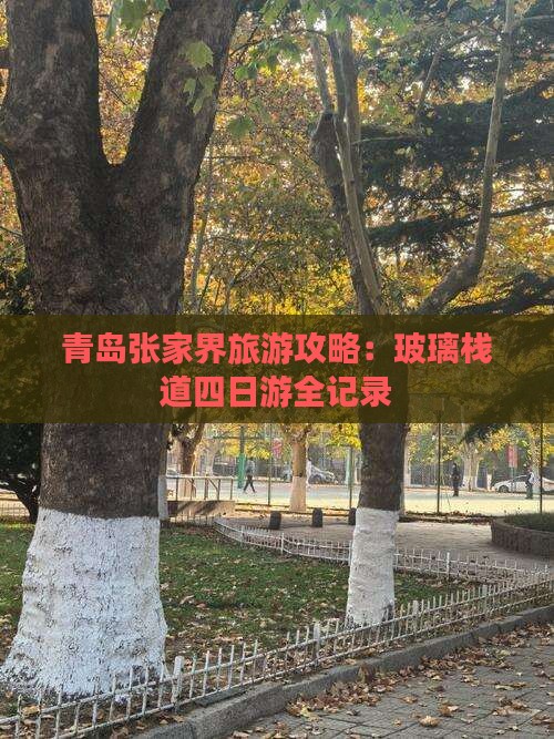 青岛去张家界玻璃栈道四日游