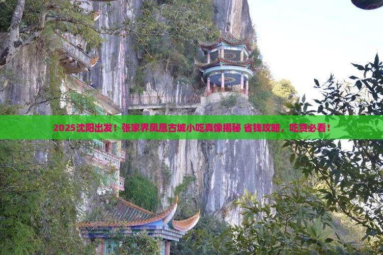 沈阳去张家界凤凰古城旅游小吃