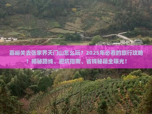 嘉峪关去张家界天门山哪里玩
