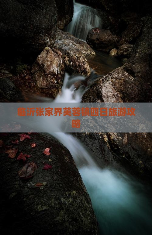 临沂去张家界芙蓉镇四日游