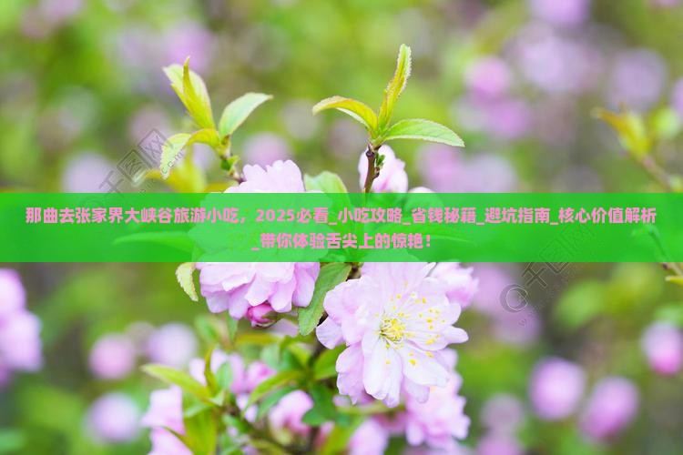 那曲去张家界大峡谷旅游小吃