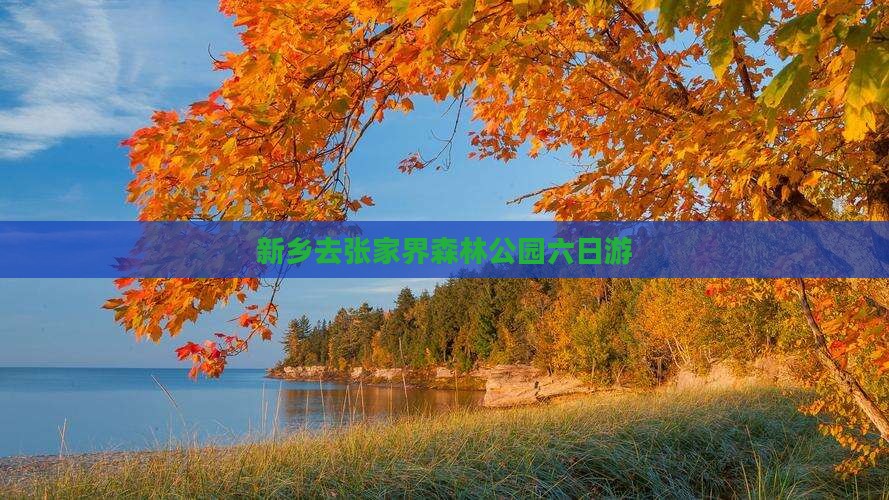 新乡去张家界森林公园六日游 新乡去张家界森林公园六日游