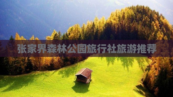 永新去张家界森林公园旅行社