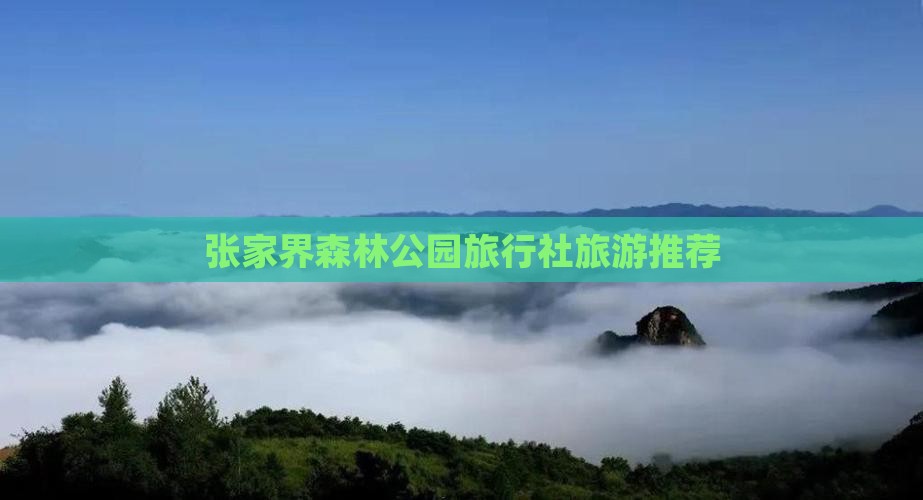 永新去张家界森林公园旅行社