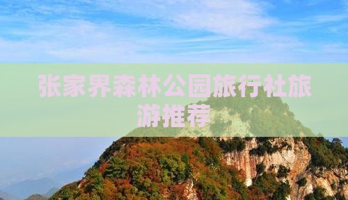 永新去张家界森林公园旅行社