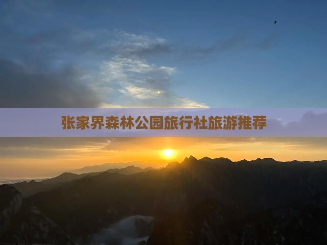 永新去张家界森林公园旅行社