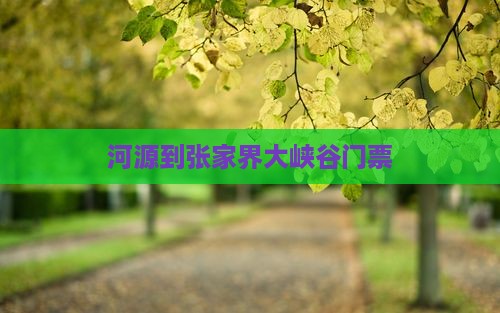 河源到张家界大峡谷门票