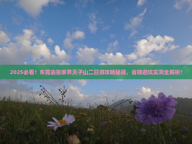 东莞去张家界天子山二日游