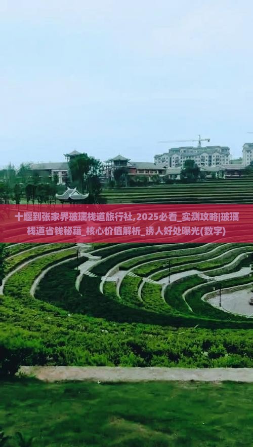十堰到张家界玻璃栈道旅行社