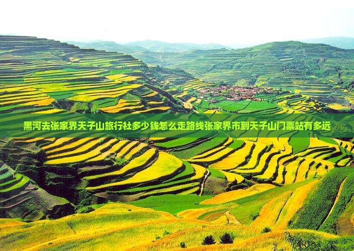 黑河去张家界天子山旅行社