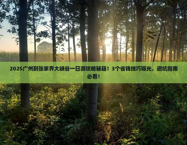 广州到张家界大峡谷一日