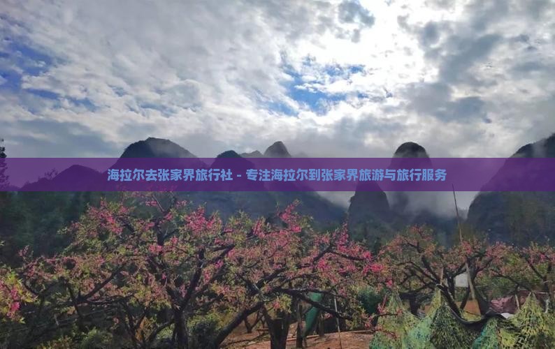 海拉尔去张家界旅行社