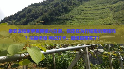 泰安去张家界芙蓉镇六日游