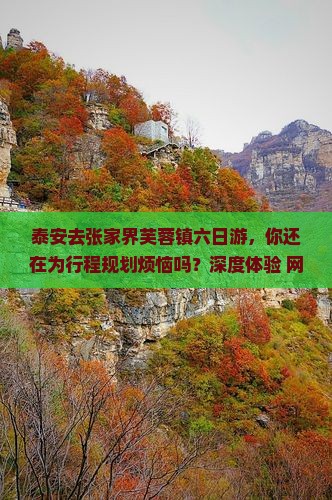 泰安去张家界芙蓉镇六日游