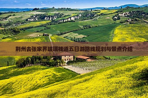 荆州去张家界玻璃栈道五日游