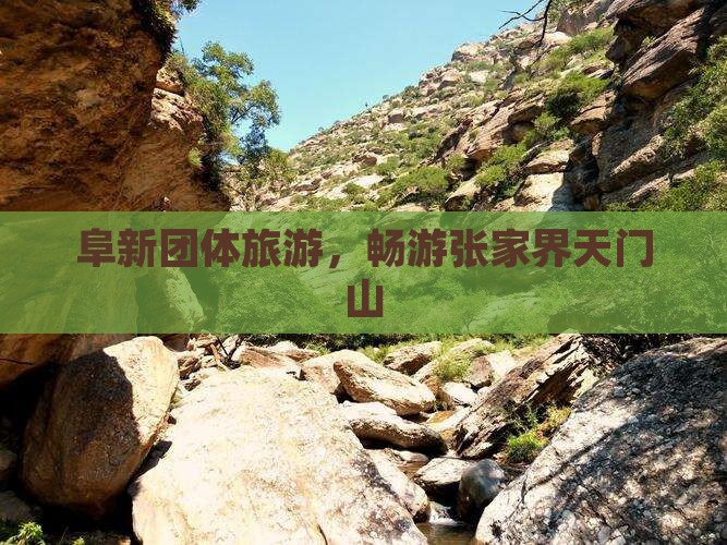 阜新到张家界天门山团体旅游