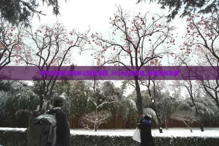 毕节去张家界森林公园自由团