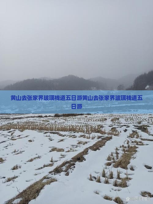 黄山去张家界玻璃栈道五日游 黄山去张家界玻璃栈道五日游