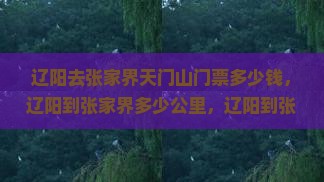 辽阳去张家界天门山门票