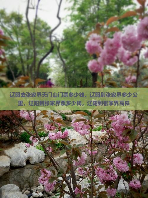 辽阳去张家界天门山门票