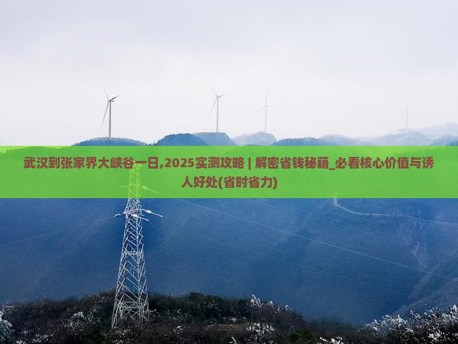 武汉到张家界大峡谷一日