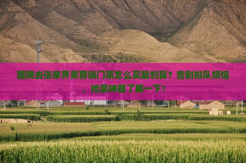 醴陵去张家界芙蓉镇门票